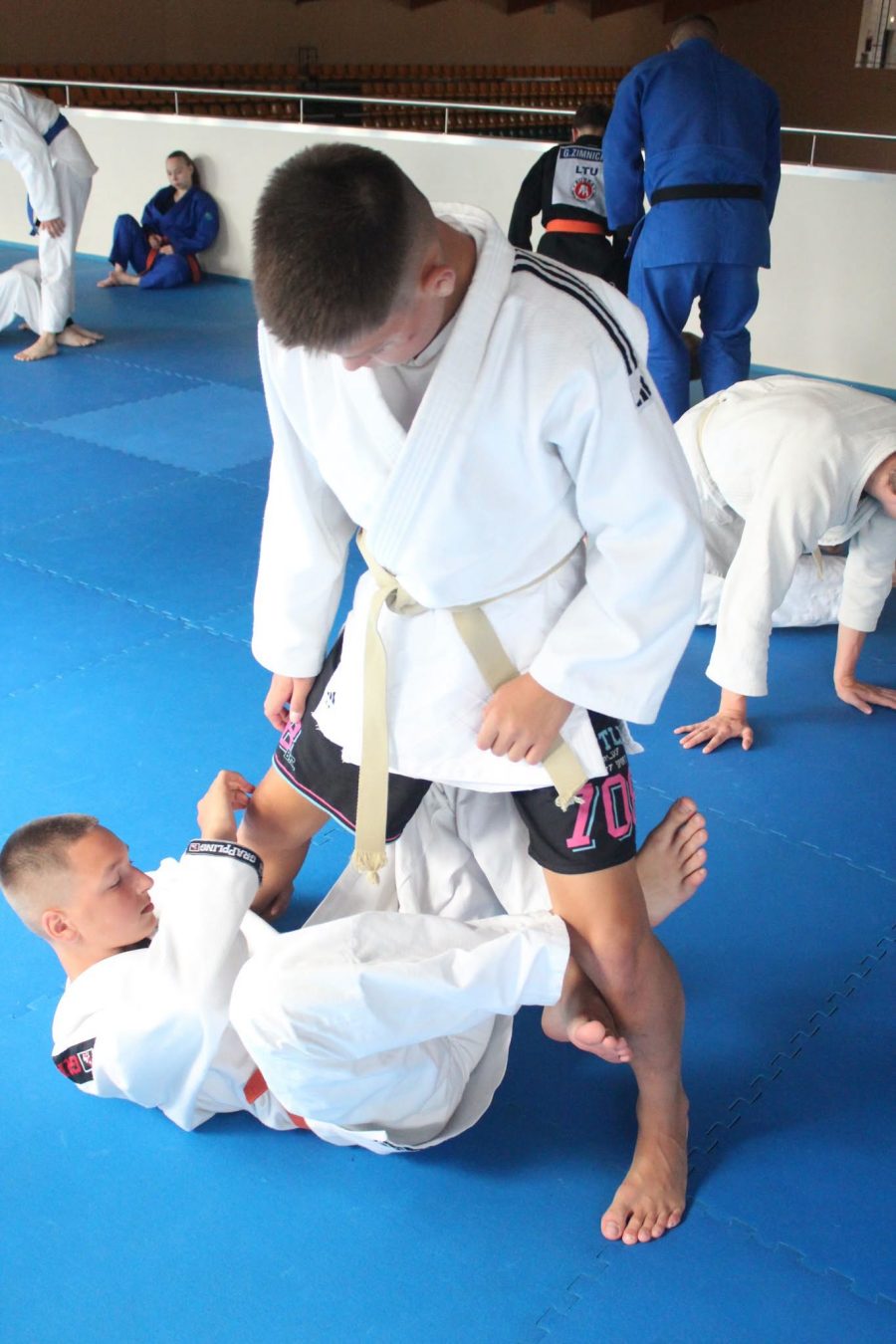 Tarptautinė grappling imtynių stovykla Palangoje