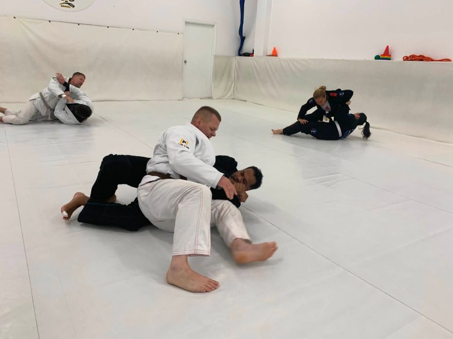 Vertinga patirtis Yamasaki akademijoje JAV