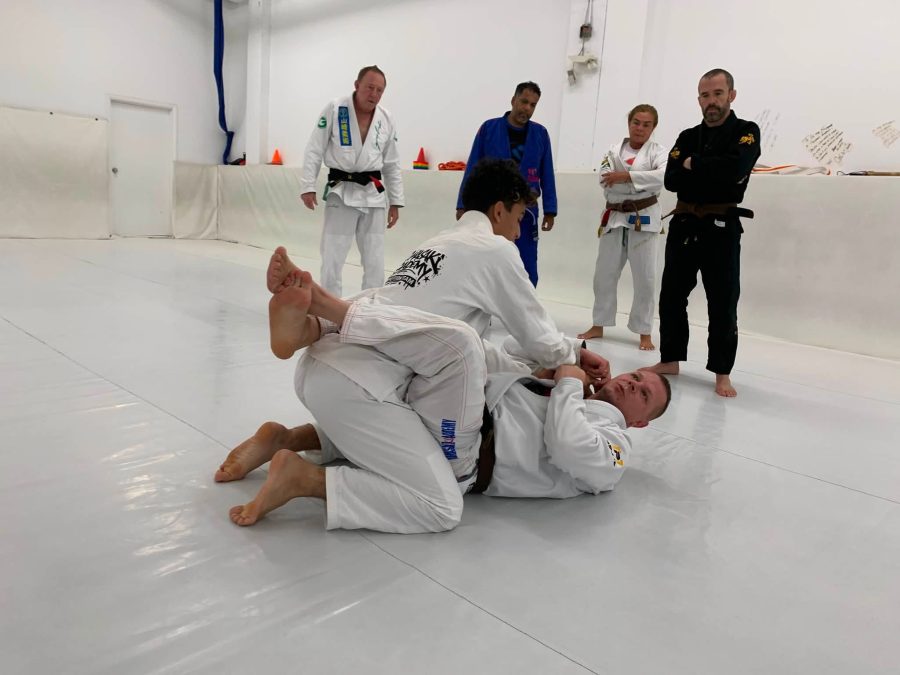 Vertinga patirtis Yamasaki akademijoje JAV
